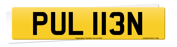 Registration number PUL 113N